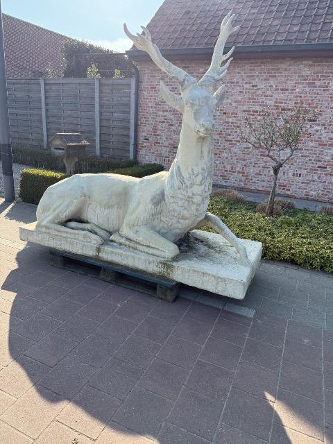 BIG CONCRETE DEER H 172 cm L 3m 